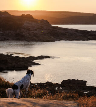 Walking the Cornish coast path