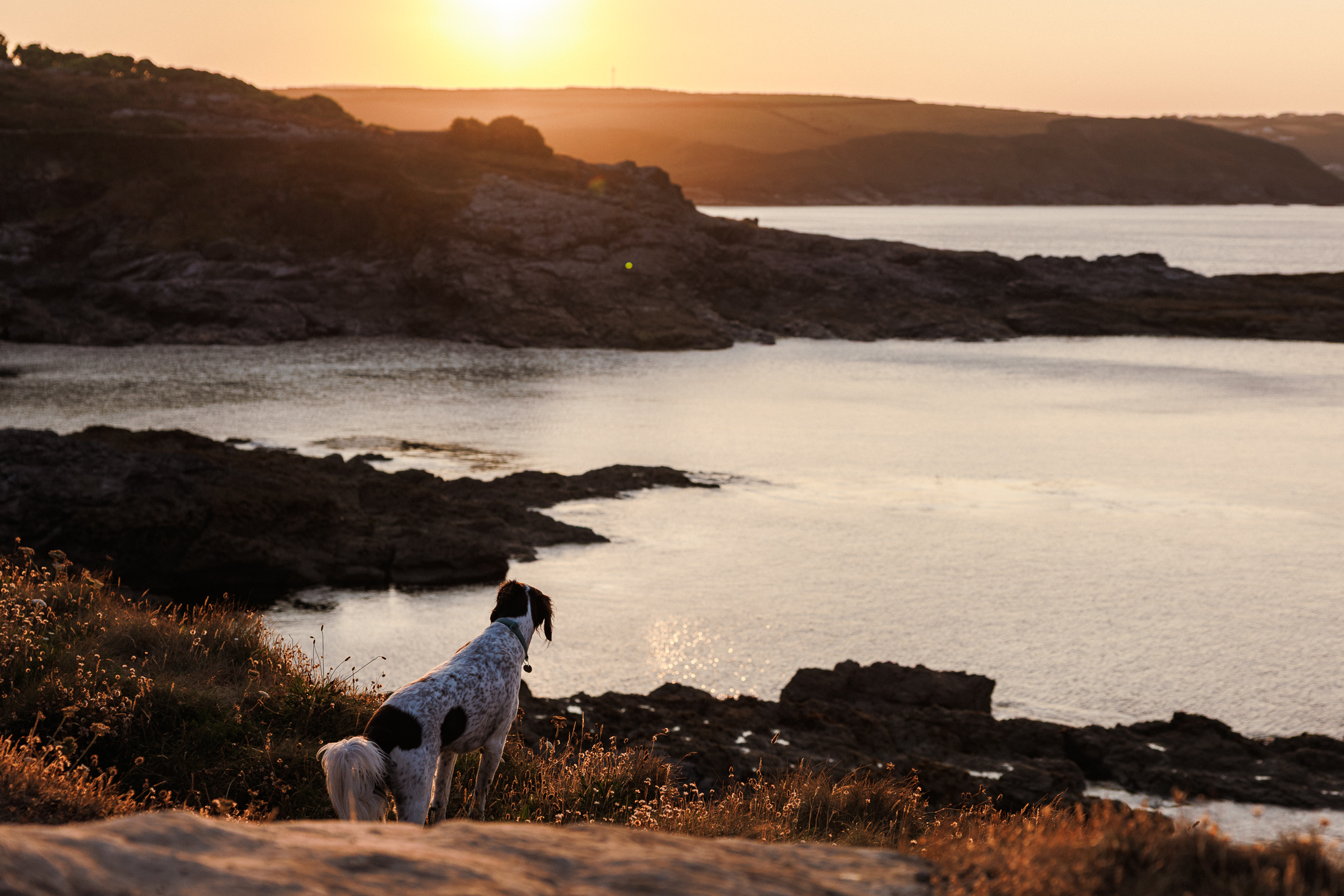 Sunset light over the sea along the Cornish coast path