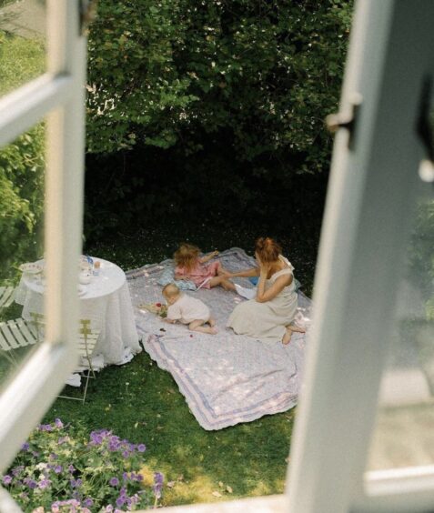 Family picnic scene